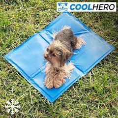 SALTEA DE RĂCORIRE PENTRU CÂINI COOLHERO™