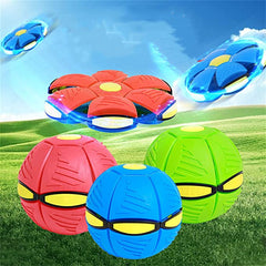 FLYBALL™ – MINGEA ZBURĂTOARE FRISBEE