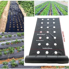 VEGMESH™ - FOLIE PENTRU MULCIRE (1x10m)