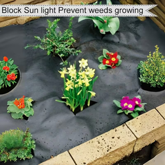 VEGMESH™ - FOLIE PENTRU MULCIRE (1x10m)