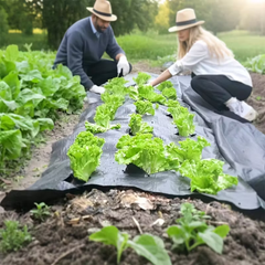 VEGMESH™ - FOLIE PENTRU MULCIRE (1x10m)