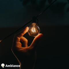 AMBIANCE™ - BECURI DE REZERVĂ